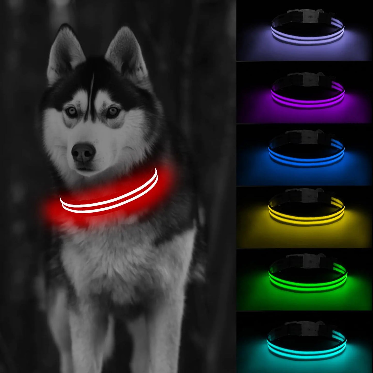 BrightGlow Adjustable LED Dog Collar
