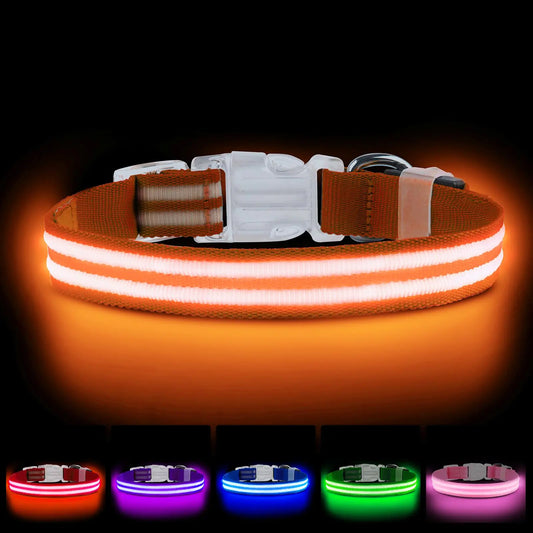 Rechargeable LED Safety Collar for Dogs