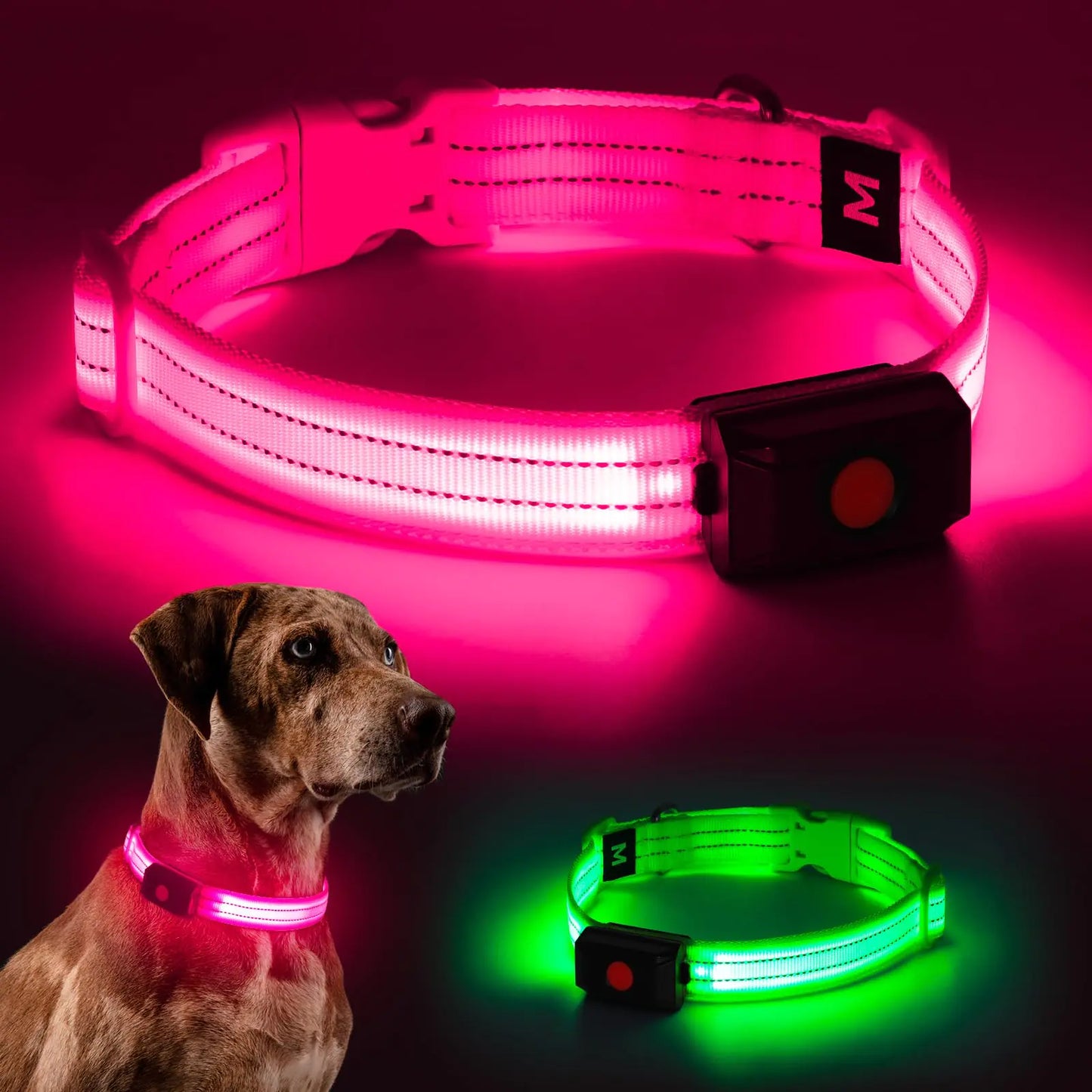 Glowing LED Dog Collar for Safety