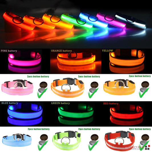 Glowing LED Safety Dog Collar