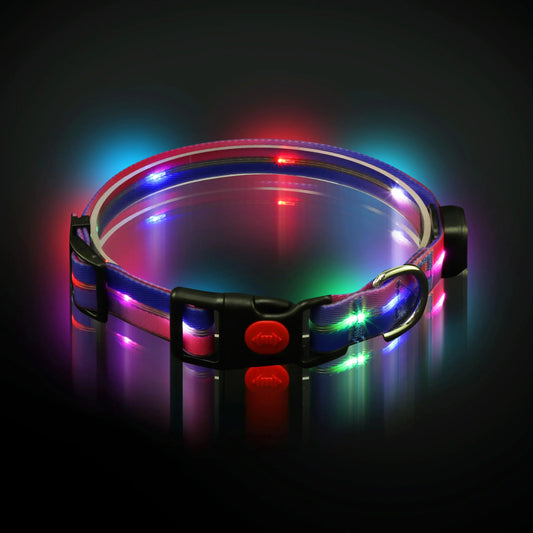 GloPup LED Collar Light USB Rechargeable