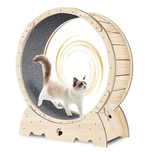 Feline Fitness Wheel: Indoor Running & Exercise